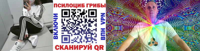 хочу наркоту  Бологое  Галлюциногенные грибы прущие грибы 