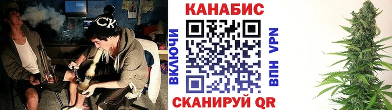 darknet наркотические препараты  Бологое  Каннабис SATIVA & INDICA 